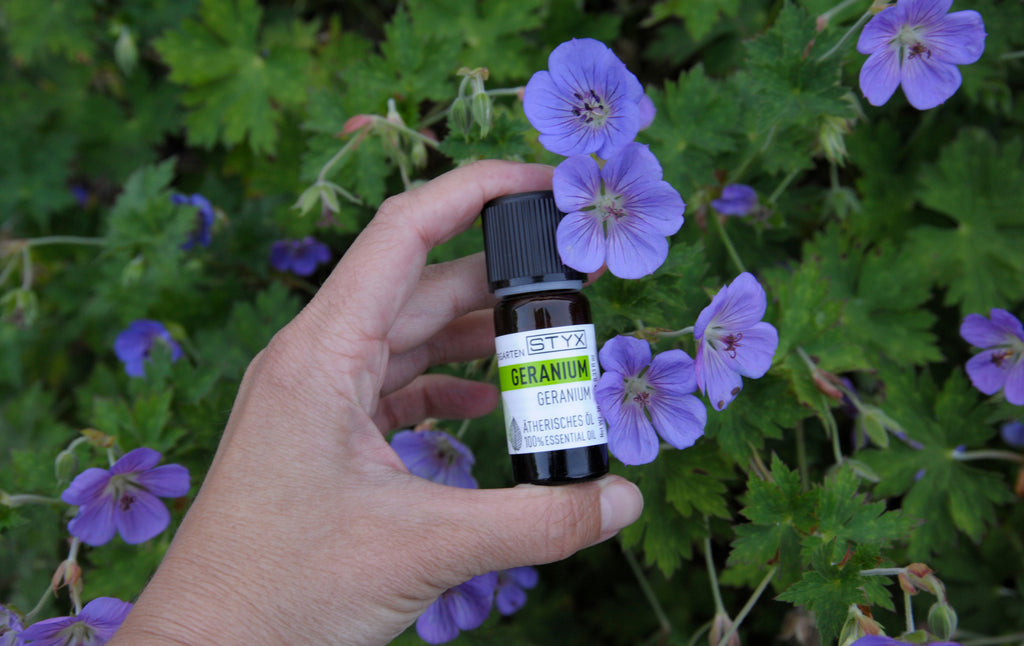 Geranium Oil