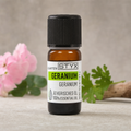 Geranium Oil
