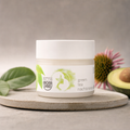 Green Tea Night Cream